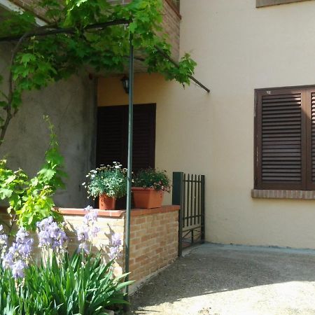 Appartamento In Collina "La Perla" リパルベッラ エクステリア 写真